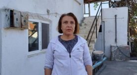 Yer: Çorum! Çatısına yuva yapan eşek arılarının soktuğu kadın hastanelik oldu