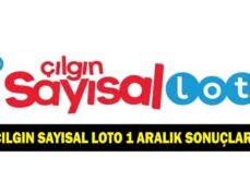 ÇILGIN SAYISAL LOTO SONUÇLARI 1 ARALIK! Çılgın Sayısal Loto sonuçları nereden ve nasıl sorgulanır?
