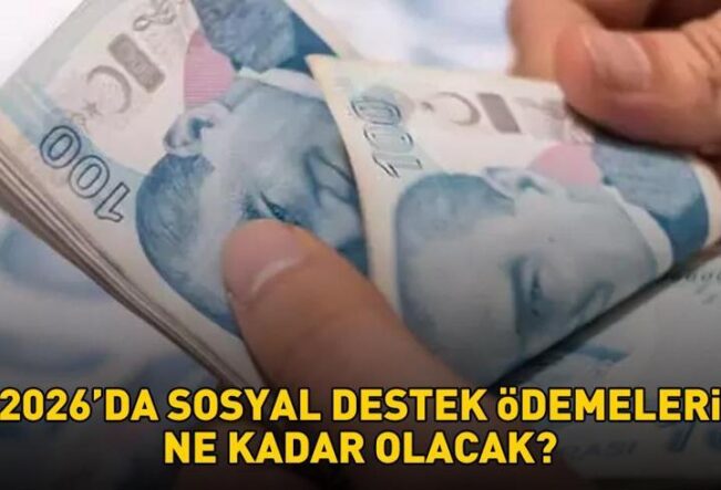 SOSYAL DESTEK ÖDEMELERİ 2026 ZAMMI | Ocak 2026'da sosyal destek ödemeleri ne kadar olacak? SED yardımı, evde bakım aylığı, engelli maaşı...