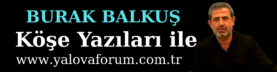 Ahmet Özsümer Yazdı (1)