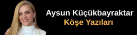 Ahmet Özsümer Yazdı