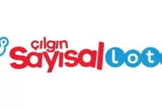 ÇILGIN SAYISAL LOTO SONUÇLARI 31 ARALIK! Çılgın Sayısal Loto ne kadar devretti? Çılgın Sayısal Loto sonuçları nasıl sorgulanır?