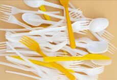 Tek kullanımlık plastik çatal, tabak ve pipetler yasaklanıyor, yerlerine bunlar gelecek...