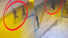 Diyarbakır'da silahlı suç örgütüne operasyon: 15 tutuklama
